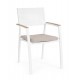 SEDIA C-BR C-C ZELMAR ANTRACITE YK13 O BIANCA YK11 BY BIZZOTTO