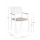 SEDIA C-BR C-C ZELMAR ANTRACITE YK13 O BIANCA YK11 BY BIZZOTTO