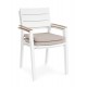 SEDIA C-BR C-C ZELMAR ANTRACITE YK13 O BIANCA YK11 BY BIZZOTTO